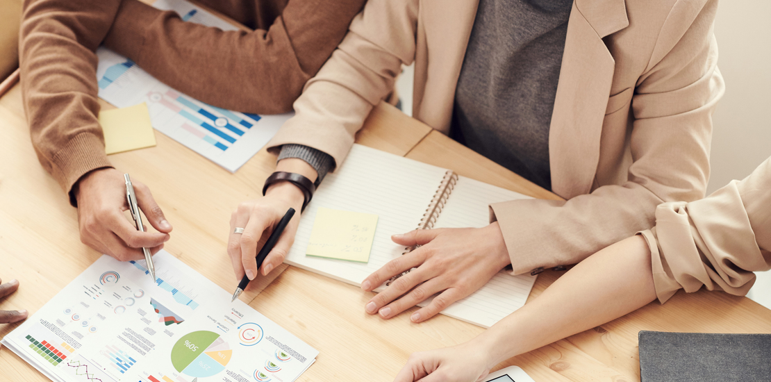 Entreprise Faso Wosso