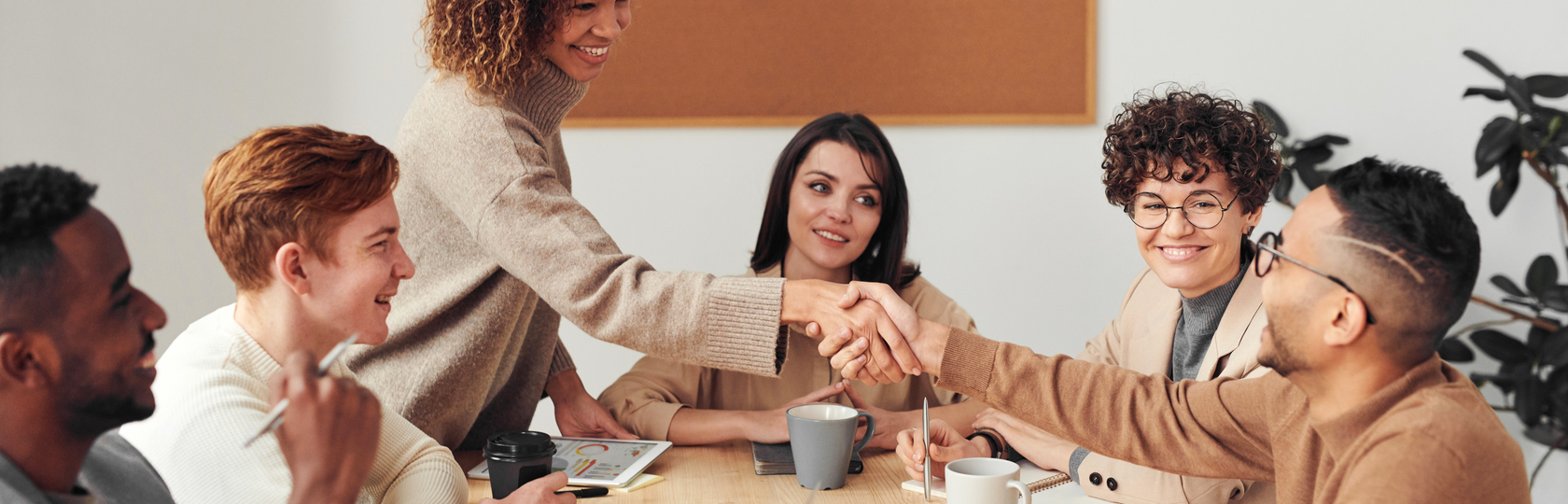 Entreprise Faso Wosso