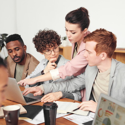 Entreprise Faso Wosso