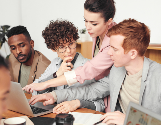 Entreprise Faso Wosso