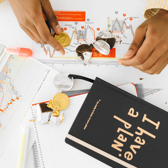 Entreprise Faso Wosso