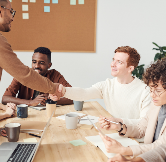 Entreprise Faso Wosso